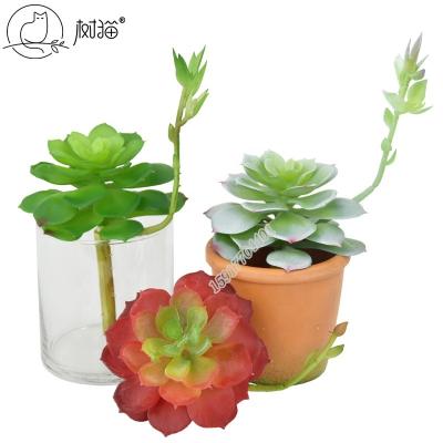 China High Quality New Desktop Style Plastic Flower Artificial Succulents Plants For Wall Decoration for sale