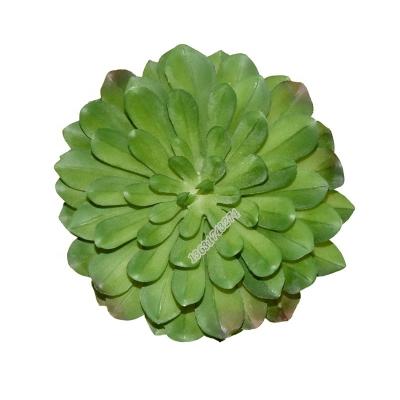 China High Quality Mini Desktop New Style PVC Green Plant Artificial Succulent For Decoration for sale