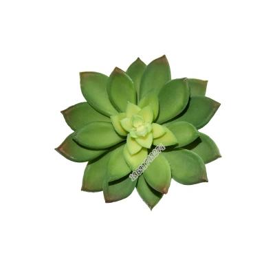 China Wholesale High Quality Artificial PE echeveria Desktop Plant Fake Succulent Plant Materia for sale