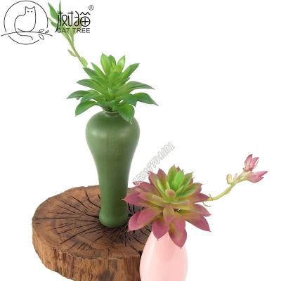 China Office Factory Wholesale New Style Cheap And High Quality PE Materia Artificial Succulent Plants for sale