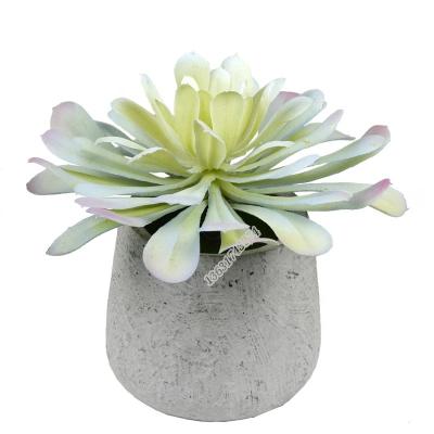 China Desktop Plant Wholesale Plastic Flower Plants Decorative Potted Artificial Aeonium Succulent Large for sale