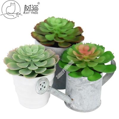 China Mini Artificial Succulent Plants Decorated Flower Arrangement Plastic Accessories Minimalist Plant Flower for sale