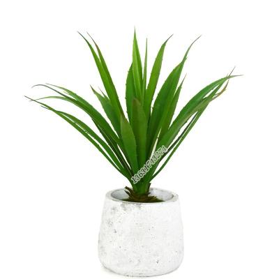 China Wholesale Minimalist Realistic Artificial Grass Plants Large Succulent Agave For Decoration for sale