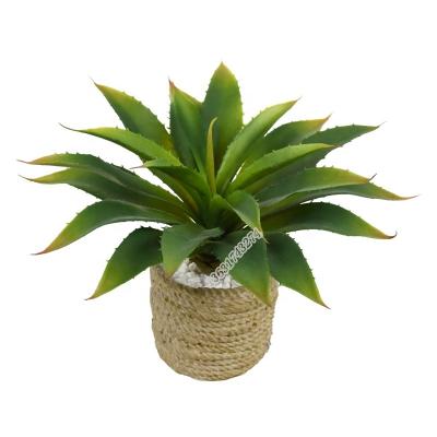 China Wholesale High Quality Plastic Desktop Plant Agave Artificial Succulent Plant For Garden Decoration for sale