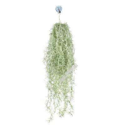 China Factory price 80cm rustic high quality tillandsia air plant artificial hanging plant for wall decoration for sale