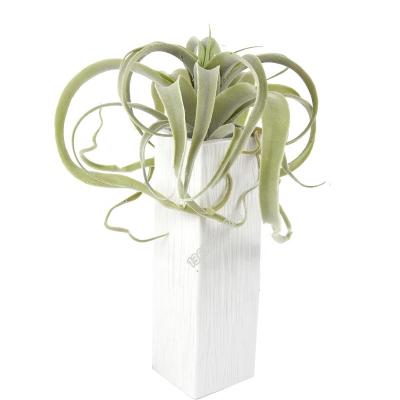 China Factory Price Big Grass Minimalist High Quality Plastic Fake Plant Artificial Tillandsia For Decoration for sale