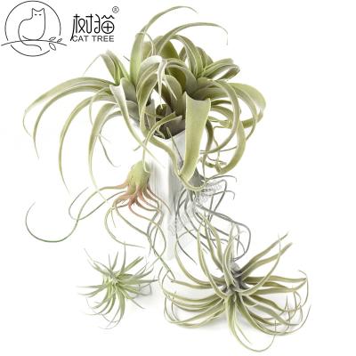 China New Style Rustic High Quality Fake Flower Fake Grass Plant Artificial Air Plant For Home Decoration for sale