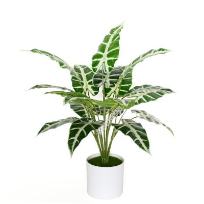 China Real Touch Plant Sale Real Touch Fake Flower 18 Leaves Alocasia Artificial Bonsai Plant For Decoration for sale