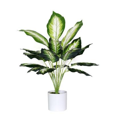 China Wholesale natural artificial flower high quality aglaonema plant contact fake plant for home decor for sale