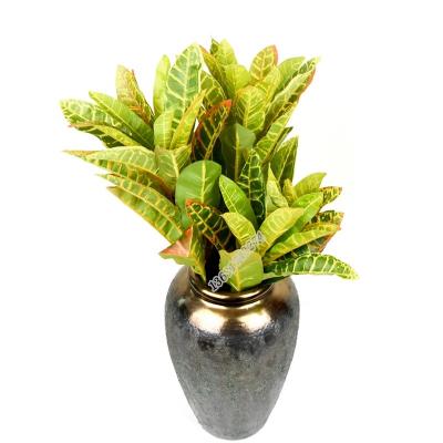 China Cheap and high quality natural green plant touch free sample decoration leaves codiaeum for garden decoration for sale