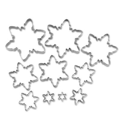 China Hot Selling Stocked Christmas Snowflake Cookie Mold Cookie Cut Fondant Baking Mold Set 10 Pieces for sale