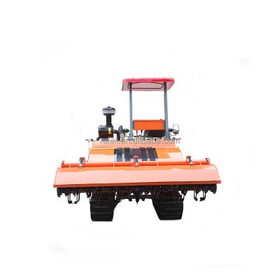 China Farms 1GZ-230 Rotary Crawler Tiller Machine / Garden Cultivator / Farm Cultivator for sale