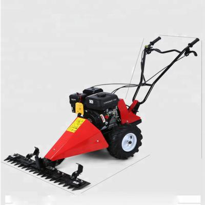 China 4-Stroke Garden Use Multifunctional Lawn Mower For Sale for sale