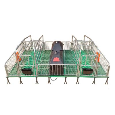 China High Quality Hot Selling Farrowing Farrowing Apartment Farms Crate Success Pig Crate for sale