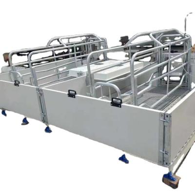 China Farms Poultry Farm Equipment Sow Pig Farrow Crate ISO Approved for sale