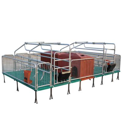 China Farms Farrowing Crates Hog Equipment Pig Farrowing Crates Sow Farrowing Pen for sale