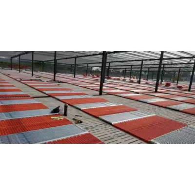 China Farms Guaranteed Service Quality Plastic Pig Farm Crate Pig Slat Farrowing Flooring for sale