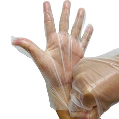 China Flexible Strip Disposable Plastic Full Powder Free Hand Waterproof Glove for sale