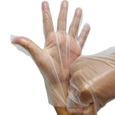 China Flexible Household Cleaning Strip Waterproof Powder Free Disposable Dish Washing Heavy Duty Plastic Hand Glove Wholesale for sale