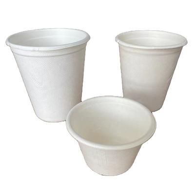 China 8oz 12oz 120ml Sugar Cane Pulp Coffee Tea Cup Party Eco-Friendly Biodegradable Eco-Friendly Compostable Disposable Cup With Lid for sale