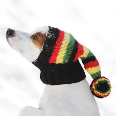 China Sustainable Y-Z Hand Knit Dog Hat Pom Pom Dog Hat Greyhound Hat Dog Snood Pet Clothes for sale