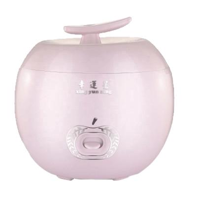 China 220V Mini Rice Cooker Electric Cooking Machine Single Double Layer Available Hot Pot Fast Cooking Multi Electric Rice Cooker for sale