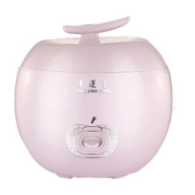 China 2022 New Sale Beautiful Cooking Appliances Anti-puddle Non Stick Hot Mini Rice Cooker Factory Luxury Portable Slow Rice Cooker 2L Rice Cooker for sale