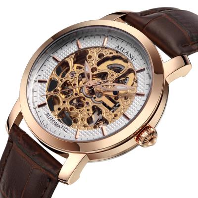 China Not Specified 2019 Luxury Skeleton Luminous Men Wristwatches OEM Automatic Mechanical Watch for sale