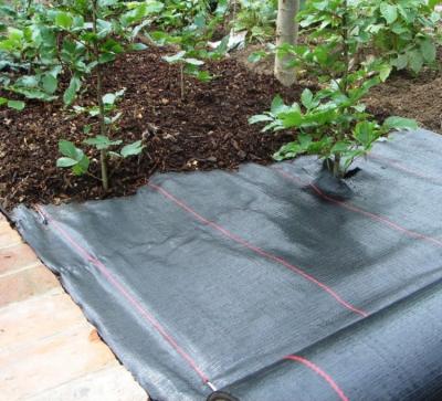 China Breathable Heavy Duty Weed Control Fabric 100 GSM 1m Width Treatment Black PP Woven Fabric Anti-UV Roll for sale