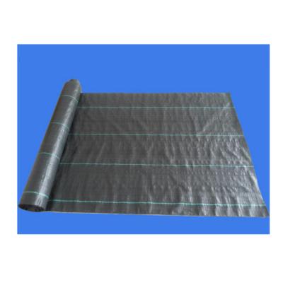 China Good Quality 100% Anti-UV Weed Mat Pins Landscape Fabric pp Woven Fabric Roll 1x20m for sale