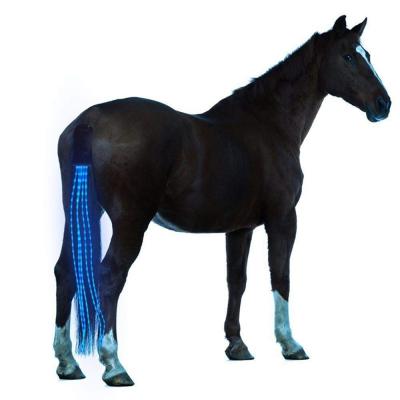 China Durable Eight Color Change Horse Driving Harness LED Horse Products 120MA USB Rechargeable Led Light Strips Accessories for sale