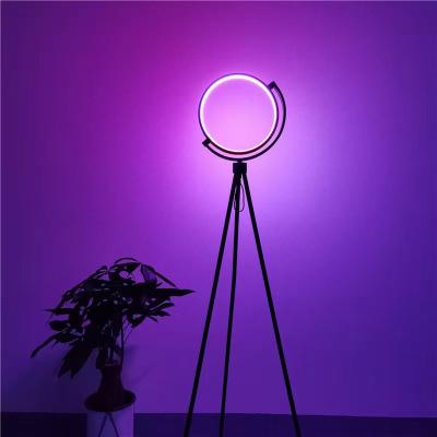 China Post modern halo rgb color changing floor lamp for modern hotel floor lamp tripod fashion corner led for sale