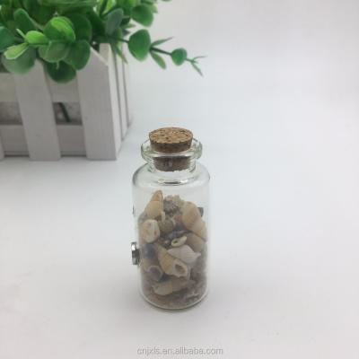 China Souvenir Cork Glass Bottle Magnet, Sand Shell Glass Bottle Magnet Small, Glass Bottle Fridge Magnet for Souvenir for sale