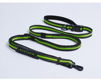 China Custom Thoughtful Bungee Hands Free Dog Leash With Adjustable Restraint Belt For Walking Rising Jogging Running for sale