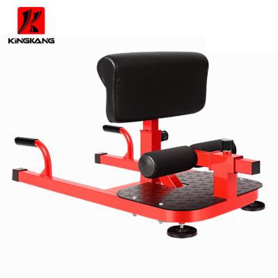 China Safe Professional Sissy Squat Lever And Calf Machine Gym Equipment for sale