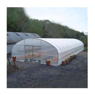 China Good Quality Vegetable Fruits Flowers And Easily Installed Green House Agricultural Commercial Greenhouse for sale