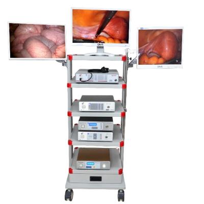 China Full HD Laparoscopy Laparoscopic Tower For Endoscopy Surgery Endoscope Camera System Tower Unit for sale