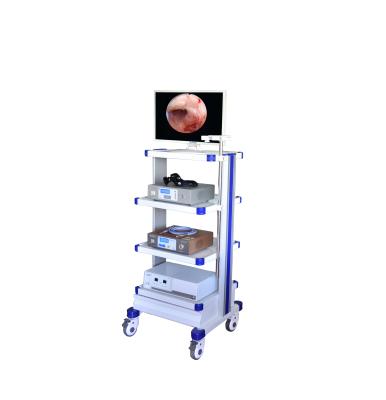 China FULL HD 1080P Medical Laparoscopy Endoscopy Tower With Arthroscopic Instruments for sale