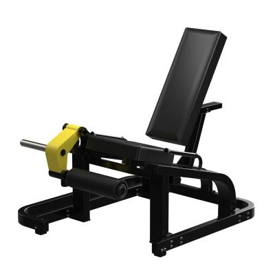 China Universal Indoor Strength Gym Equipment Leg Extension For Gym for sale