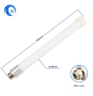 China antena impermeable de la fibra de vidrio de 5G 5.8G 5dBi con el conector macho de SMA en venta