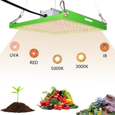 China Seed Starting Newest LED Grow Light 50W Samsung LM281B Chips With IR 50W Full UV Spectrum Led Grow Light For Indoor Plants Seedling Flower for sale