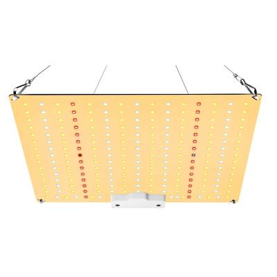 China Seed Booth 2021 Newest 65W Full Spectrum LED Plant Grow Light Samsung LM281B IR 65W UV STREAMER Led Growing Light For Indoor Greenhouse for sale