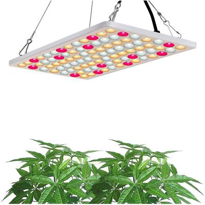 China Seed starting newest LED grow light 60W Samsung lm281b 2.5 umol/J replace 600W indoor full spectrum LED grow light for plants for sale