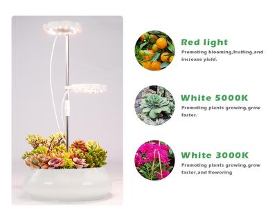 China Starting From Seed Lower Price 10W Full Spectrum To Growing Light 3000k 5000k 660nm Red Led USB 10W LED Grow Light For Office Plants for sale