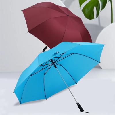 China Promotional Windproof 28 Inch EVA Automatic Handle Umbrella 2 Fold Traditional for sale