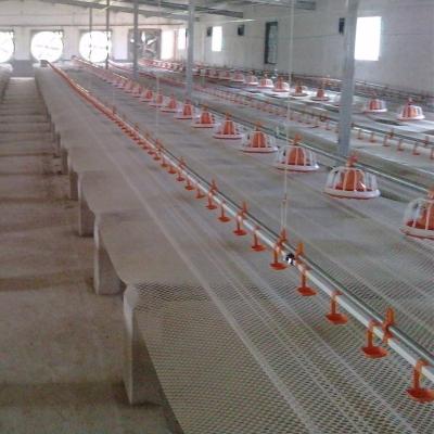 China Automatic Farms Poultry Raising System For Chicken Broiler Farm Ground Floor Feeding Equipment for sale