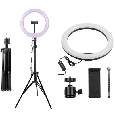 China Bestselling and Durable PORTABLE M33 Celebrity Bracket Sufficiency Net Light with Tripod Ring Light for Living Beauty for sale