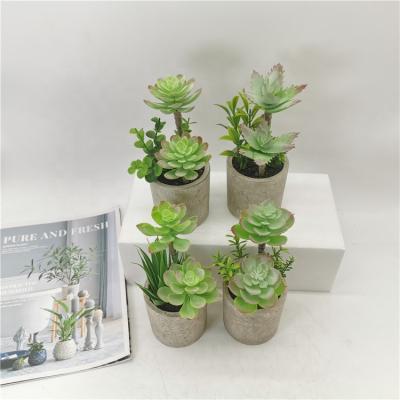 China Eco-Friendly Set Of 3 Modern Artificial Succulent Plants In Paper Pot Office Table Home Decorative Artificial Succulent for sale