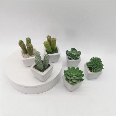 China Art Decor Factory Price Small Cactus With White Ceramic Succulent Planter Pot Fake For Bedroom Table Decor Simulation Artificial Plants for sale