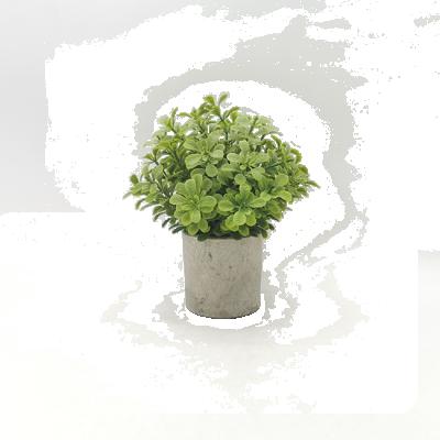 China Factory Price Eco - Friendly Artificial Potted Plants Pulp Plastic Pot Eucalyptus Plants For Home Office Decor Artificial Bonsai Trees for sale